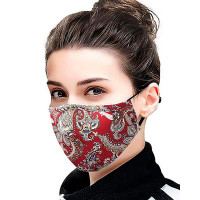 Daisy / Floral / Retro Print Ear Loop Breathable Mouth Mask With 4 Filters - red